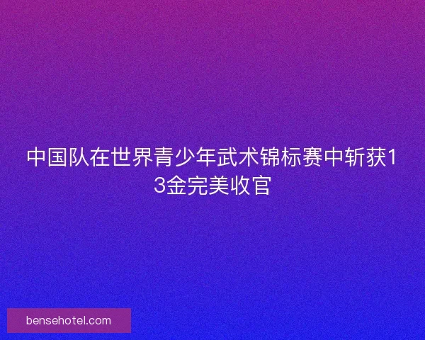 中国队在世界青少年武术锦标赛中斩获13金完美收官